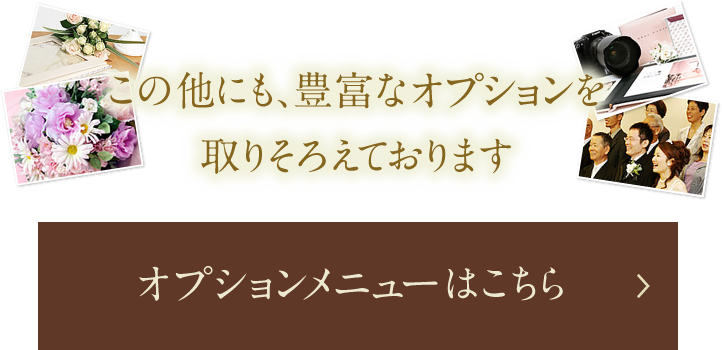 豊富なオプションをチェックする
